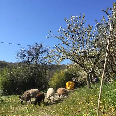 Pensjonat Salara